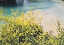 Le acque del fiume Gari diventano rosa. Scatta un altro sos