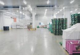 Tm Logistica, in 150 a un passo dal licenziamento. La Ugl annuncia battaglia
