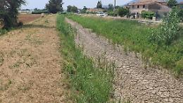 Siccità, acqua razionata. L'allarme di Coldiretti: «Aggravio dei costi per gli agricoltori»