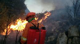 Niente piogge, incendi triplicati. Più di un rogo ogni due giorni