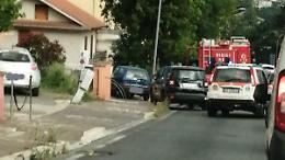 Cade un albero in strada e colpisce un'auto: l'incidente