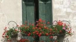 “Balconi fioriti e spazi aperti”: ultimi giorni per le domande