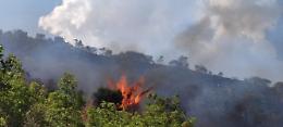 Vasto incendio sulle montagne. In fiamme ettari di bosco