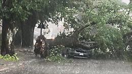 Maltempo, strade allagate e alberi in strada: la situazione