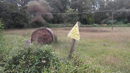Sin, non tutto è contaminato