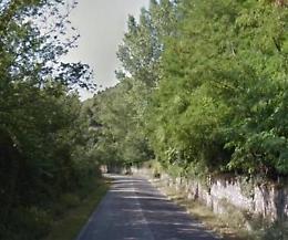 Trovato senza vita nel bosco. Il corpo rinvenuto dai carabinieri