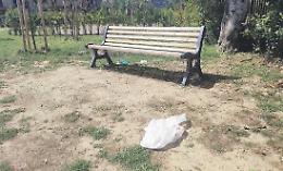 I vandali colpiscono il parco. Danneggiamenti e rifiuti a terra