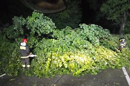 Alberi caduti e strade chiuse. Intervento dei vigili del fuoco nella notte