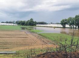 Troppi eventi estremi legati al clima. Danni alla campagna