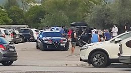 Pitbull aggredisce un barboncino: anziana finisce in ospedale