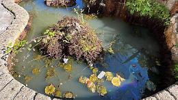 Acque rosse in una fontana, scatta un nuovo allarme. La segnalazione