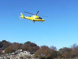 Cade da un albero mentre raccoglie fichi, grave un settantenne