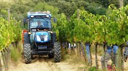 Vendemmia, ferma la corsa del vino. Costi aumentati del 35%