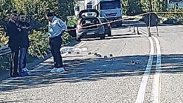 Diana Maria Zaharie travolta e uccisa da un'auto. La verità dall'autopsia