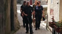 Gatti morti: l'autopsia non esclude l'avvelenamento. Controlli dei carabinieri forestali