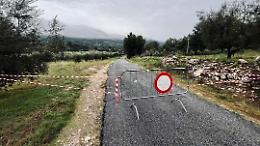 Maltempo, fulmine colpisce un albero. Sul posto i vigili del fuoco