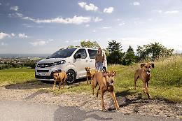 Opel Zafira-e Life, l'amica fidata di Fido. L'ideale per chi ha bisogno di spazio