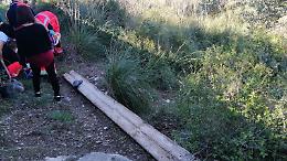 Incidente nei campi. Mezzo agricolo si ribalta, paura per un pensionato