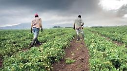 Il Covid ha favorito la criminalità nel settore agricolo
