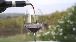 Confagricoltura Latina e Fosinone alla Milano Wine Week con il Bellone e il Cesanese