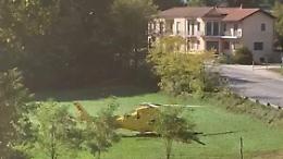 Cade dalla pianta di ulivo: ancora un incidente nei campi