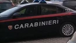 Auto uccide otto pecore in strada. Feriti anche altri animali
