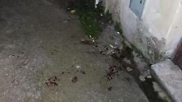 Giovane accoltellata dopo una lite torna a casa. Proseguono le indagini