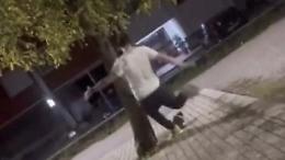 Gatti presi a calci, il ministro Matteo Salvini su tutte le furie