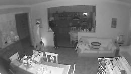 Villetta svaligiata in pieno giorno. Torna l'incubo dei ladri