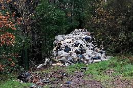 Rifiuti scaricati tra gli alberi: la scoperta dei carabinieri forestali