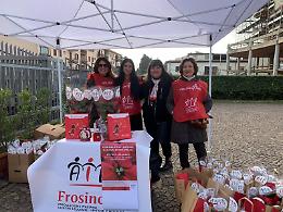Una stella di Natale contro le leucemie. L'Ail nelle piazze della provincia