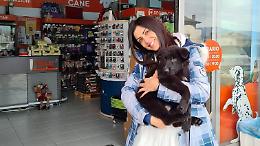 Botti di capodanno. L'appello di Valeria Altobelli per gli animali