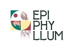 Epiphyllum: la mostra di arte contemporanea alla villa comunale