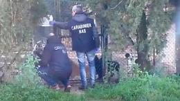 Controlli del Nas nei canili e allevamenti. Multe e attivit&agrave; sotto sequestro