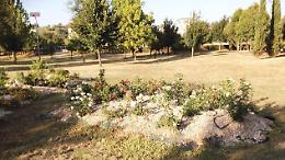 Il Parco Molazzete versa nel più totale degrado