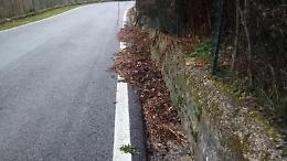 Strada ancora nel dimenticatoio. L'appello per la messa in sicurezza
