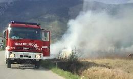 Fiamme nei pressi della strada. Intervento dei vigili del fuoco vicino all'ecocentro