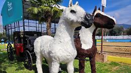 Easter Farm per i più piccoli. Una fattoria didattica pasquale