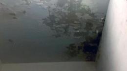 Infiltrazioni d'acqua da un anno e mezzo. La casa è invivibile