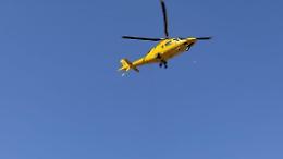 Cede una piattaforma durante le operazioni di potatura. Due operai morti