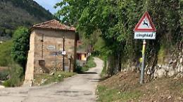 Attenzione ai cinghiali. Debuttano i cartelli di pericolo