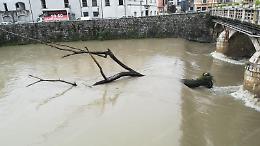 Pioggia, grandine e strade allagate. Cade un albero nel fiume Liri