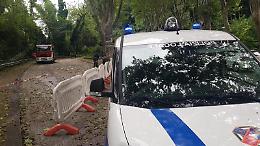 In viale Roma i vigili del fuoco. Tagliati gli alberi pericolosi