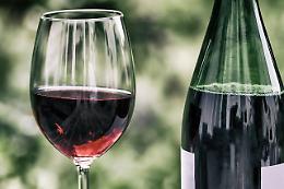 I vini ciociari tra i migliori del Lazio