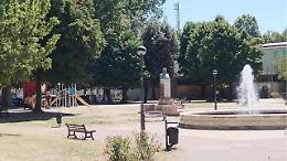 Allarme processionaria al parco. Tanto rumore per nulla