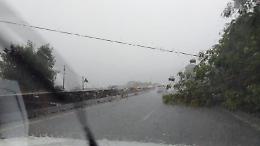 Danni e disagi a causa del maltempo. Caduti due alberi