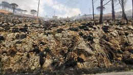 Incendio a Madonna delle Macchie. Vigili del fuoco e protezione civile al lavoro per domare le fiamme