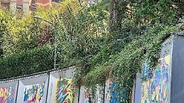 Murales abbandonati. E coperti dalla vegetazione