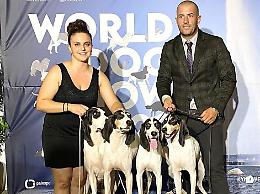 World Dog Show, Federico Pallisco campione del Mondo a Ginevra