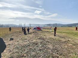 Incidente in volo. Chiesti due anni per frode in processo penale e depistaggio